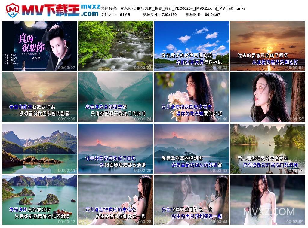 安东阳-真的很想你_国语_流行_YEC00264